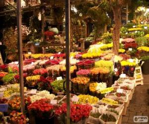 Puzzle Marché aux fleurs, Amsterdam, Pays-Bas