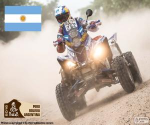 Puzzle Marcos Patronelli, Dakar 2016