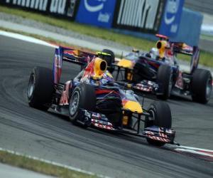 Puzzle Mark Webber - Red Bull - Istanbul 2010