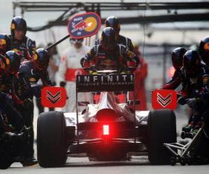 Puzzle Mark Webber - Red Bull - Shanghai, 2011