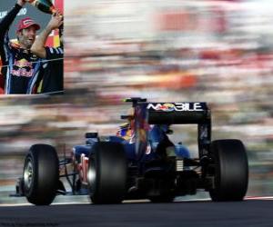 Puzzle Mark Webber - Red Bull - Suzuka 2010 (2 ° Classé)