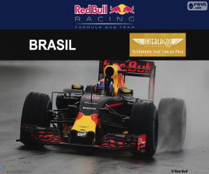 Puzzle Max Verstappen, GP Brésil 2016