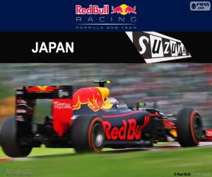 Puzzle Max Verstappen, GP du Japon 2016