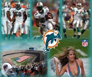 Puzzle Miami Dolphins