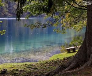 Puzzle Méditation au lac