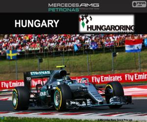 Puzzle N. Rosberg GP de Hongrie 2016