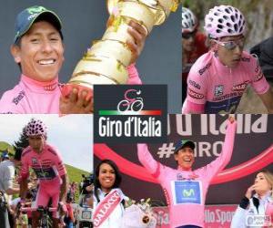 Puzzle Nairo Quintana, Giro 2014