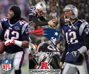 Puzzle New England Patriots champion AFC 2011