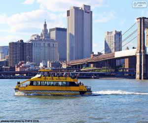 Puzzle New York Water Taxi