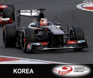 Puzzle Nico Hülkenberg - Sauber - Circuit International de Corée, 2013