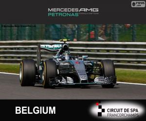Puzzle Nico Rosberg, GP Belgique 2015