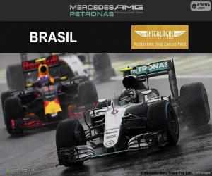 Puzzle Nico Rosberg, GP Brésil 2016
