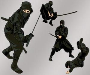 Puzzle Ninja dans diverses positions