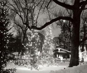 Puzzle Noël dans le parc