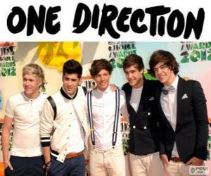 Puzzle One Direction est une boy band britanica-irlandesa