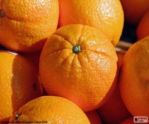 Puzzle Oranges