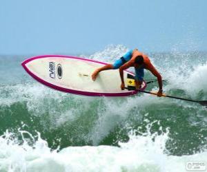 Puzzle Paddle surf