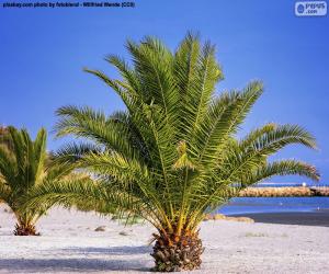 Puzzle Palmiers sur la plage