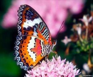 Puzzle Papillon sur une fleur