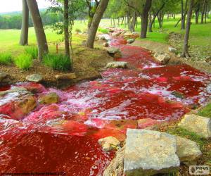 Puzzle Paysage avec une rivière rouge
