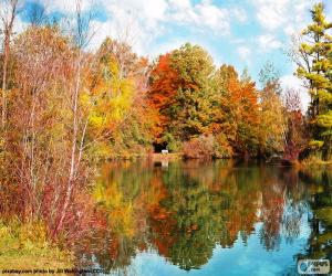 Puzzle Paysage d'automne