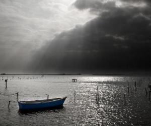 Puzzle Paysage dans le Delta de l'Ebre, Catalogne, Espagne