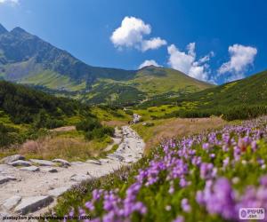 Puzzle Paysage de montagne