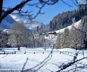 Puzzle Paysage d’hiver