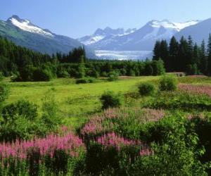 Puzzle Paysage en Alaska en été