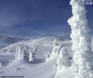 Puzzle Paysage glacé