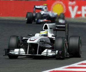 Puzzle Pedro de la Rosa - Sauber - Silverstone 2010