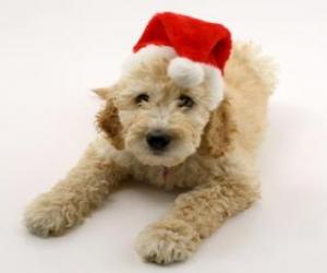 Puzzle Petit chien élégant pour les festivités de Noël avec bonnet