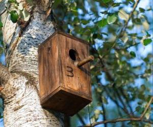 Puzzle Petite maison de bois pour les oiseaux aux printemps