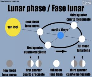 Puzzle Phase lunaire