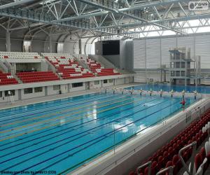 Puzzle Piscine olympique