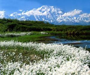 Puzzle Plaine avec la végétation et les montagnes vers le bas