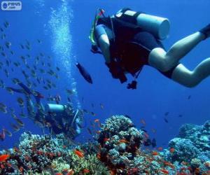 Puzzle Plongée sous-marine