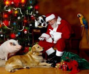 Puzzle Plusieurs animaux avec le Santa nourrir