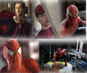 Puzzle Plusieurs images de Spiderman