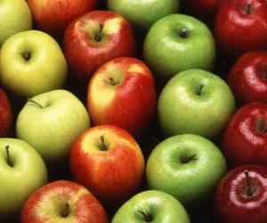 Puzzle Pommes de divers types