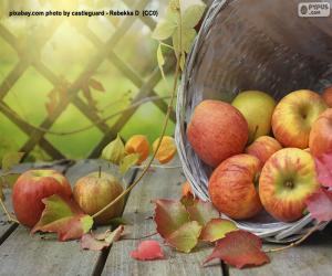 Puzzle Pommes à l’automne