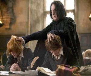 Puzzle Professeur Severus Rogue, en étudiant et Harry Potter, Ron Weasley