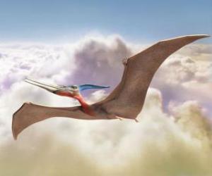 Puzzle Pterodactyl en volant