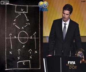 Puzzle Ralf Kellermann, FIFA 2014