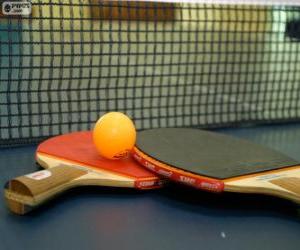 Puzzle Raquettes et balles de ping-pong