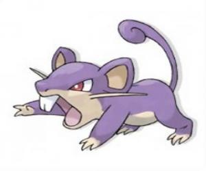 Puzzle Rattata - Pokémon type Normal, rat attaquant rapide