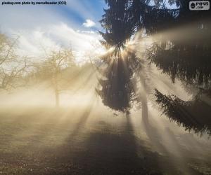 Puzzle Rayons du soleil