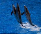 Groupe de dauphins sautant