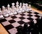 Échiquier d'échecs avec toutes les pièces placées pour lancer le jeu