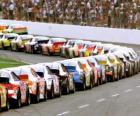 Course Nascar